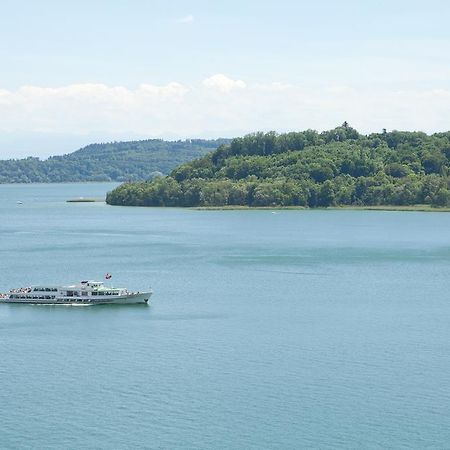 Alpes et Lac La Neuveville Extérieur photo