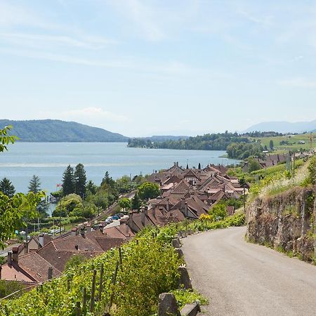 Alpes et Lac La Neuveville Extérieur photo