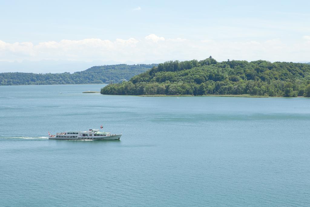 Alpes et Lac La Neuveville Extérieur photo