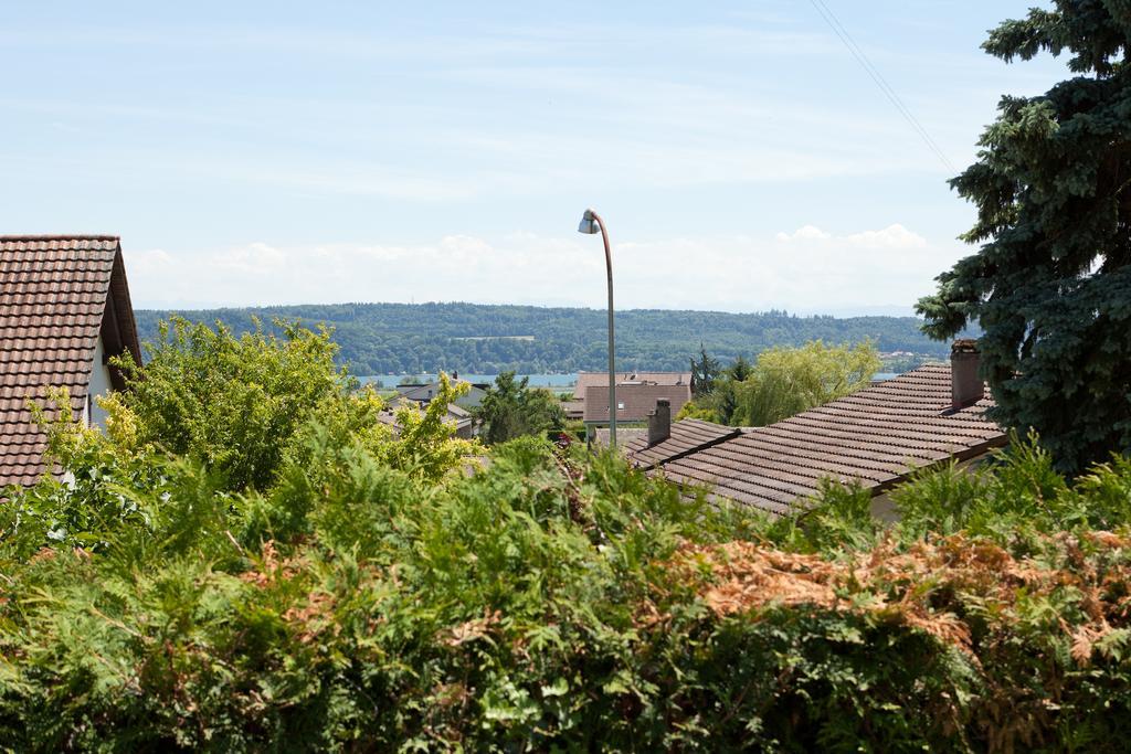 Alpes et Lac La Neuveville Extérieur photo